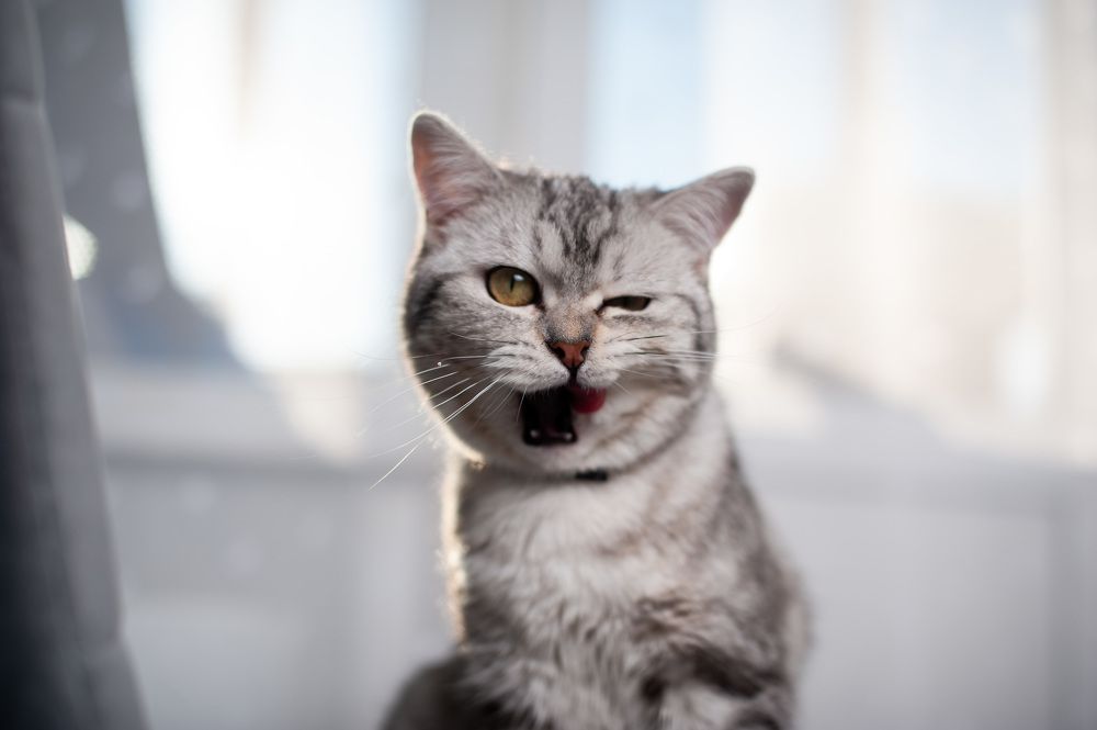 Photograph by Екатерина Стройкина