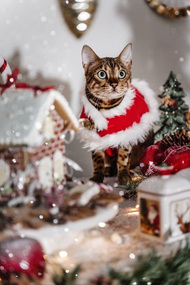 Photograph by Katsiaryna Yarmantovich