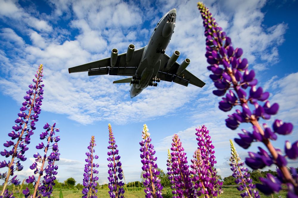 Photograph by Даниил Чесноков