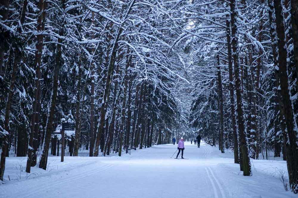 Photograph by Никита