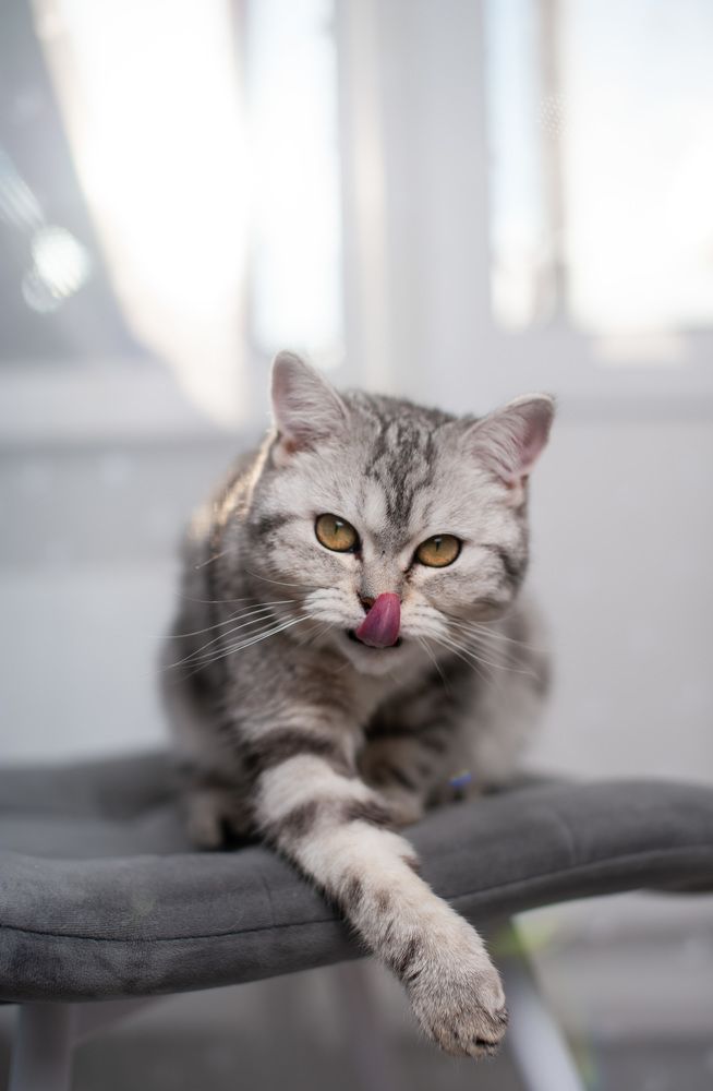 Photograph by Екатерина Стройкина