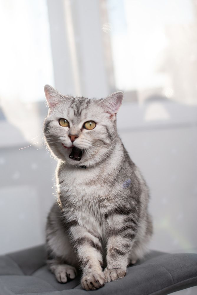 Photograph by Екатерина Стройкина