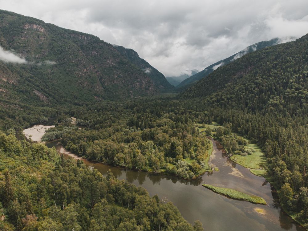 Photograph by Андрей Гусаров