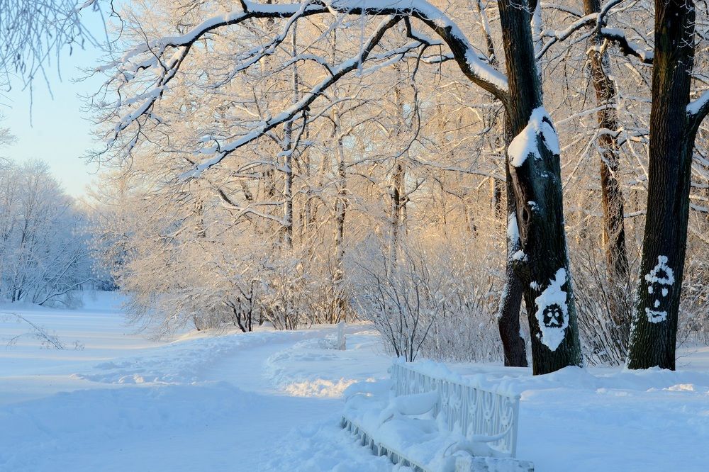 Photograph by Mikhail Novikov