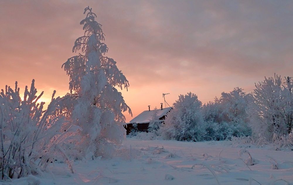 Photograph by Решетников Виктор