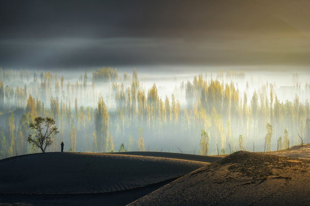 Photograph by Muhammad Asmar Hussain