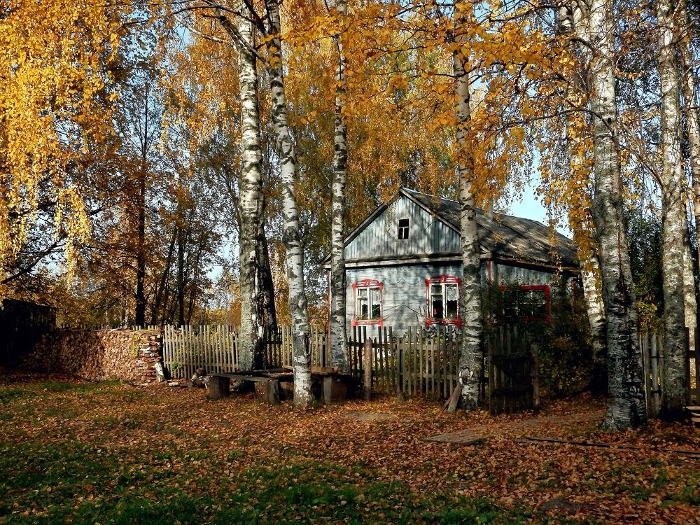 Домик в деревне.