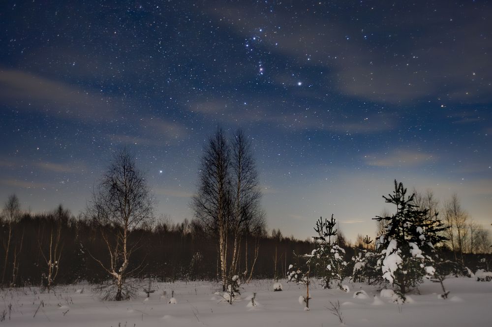 Photograph by Алексей Чудин