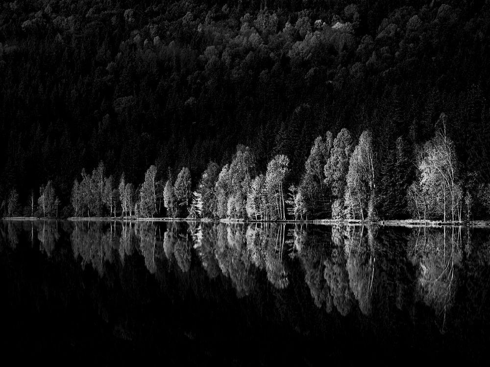 Photograph by Adrian Adi Gli