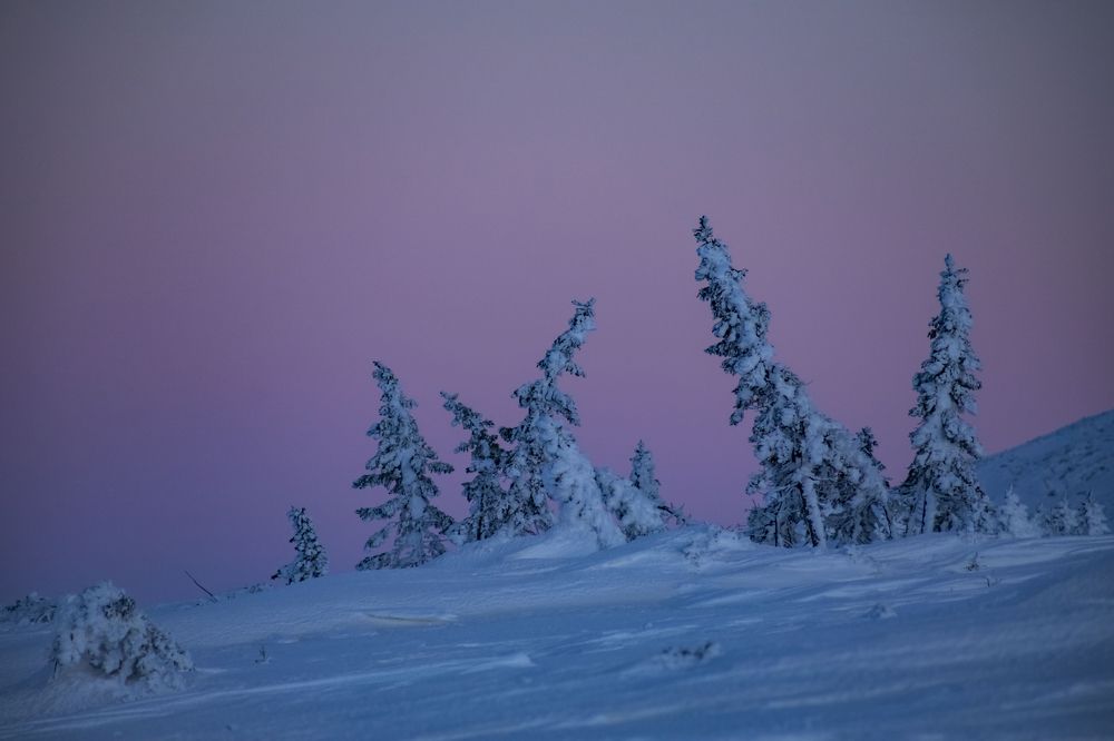 Photograph by Елена Перминова