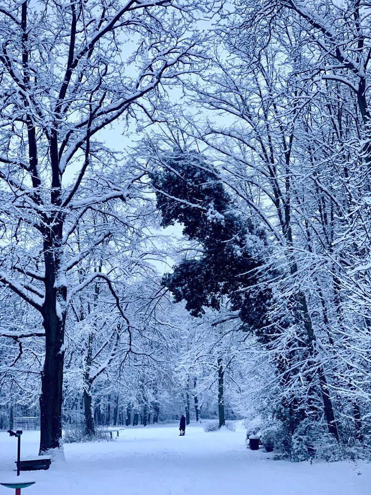 Photograph by Анастасия Мангольд