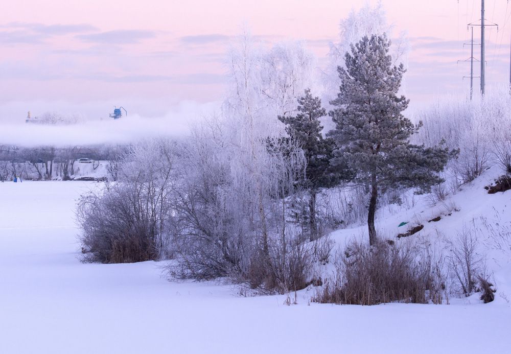 Фотография автора Ольга Лихтарь