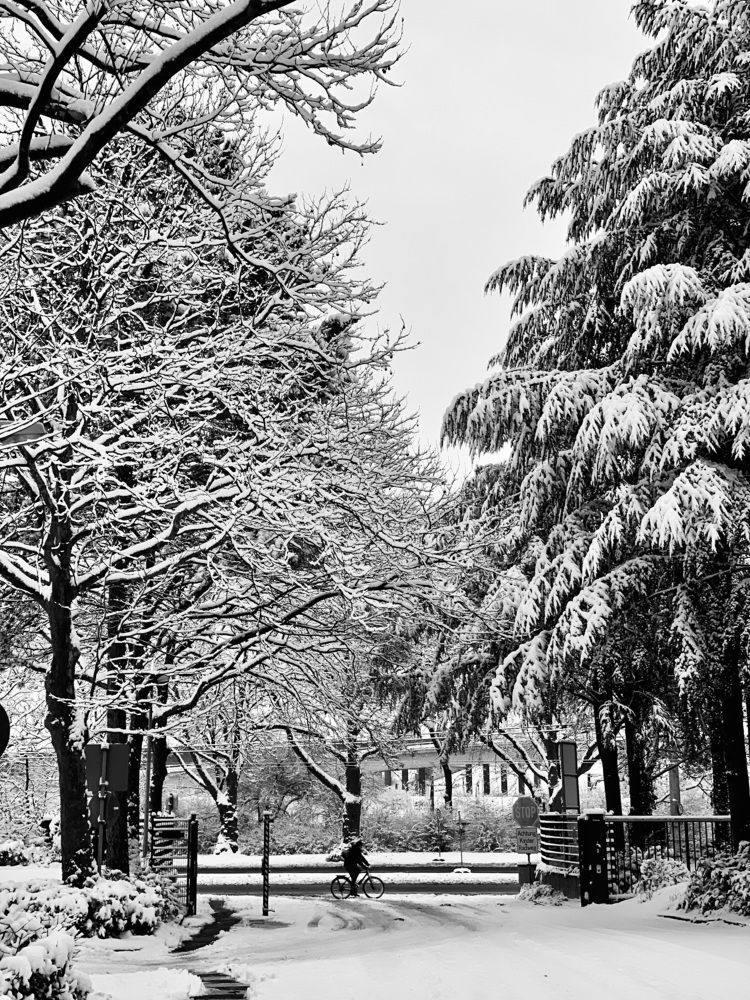 Photograph by Анастасия Мангольд