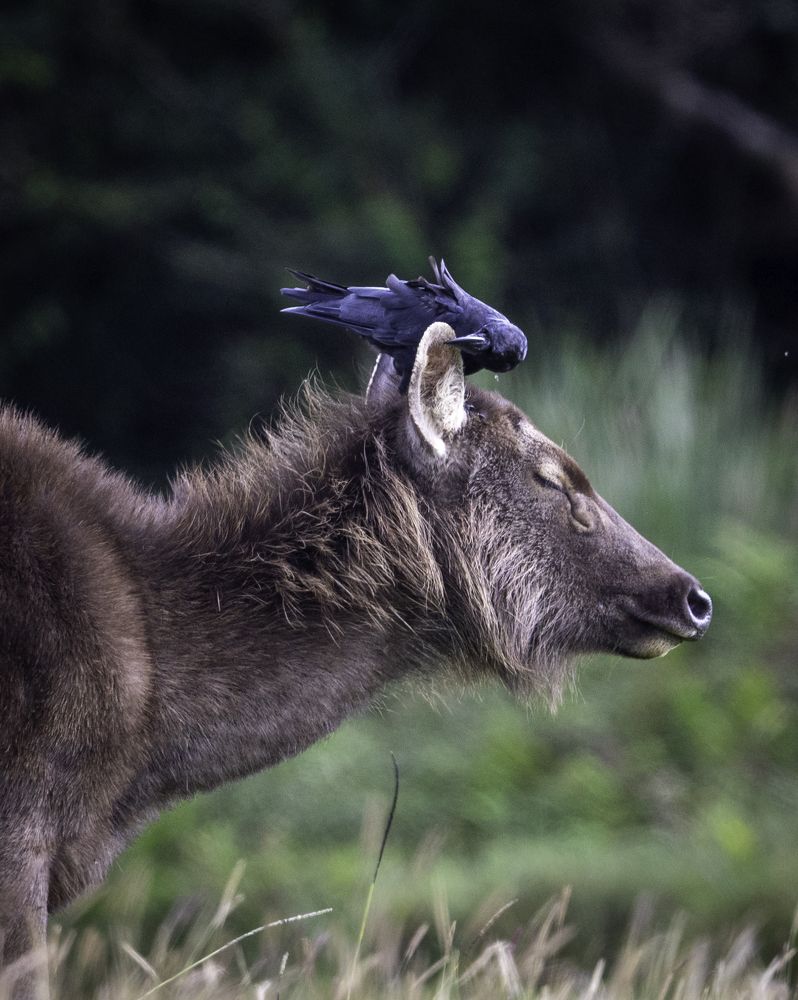 Photograph by Yuganthan Nallusamy