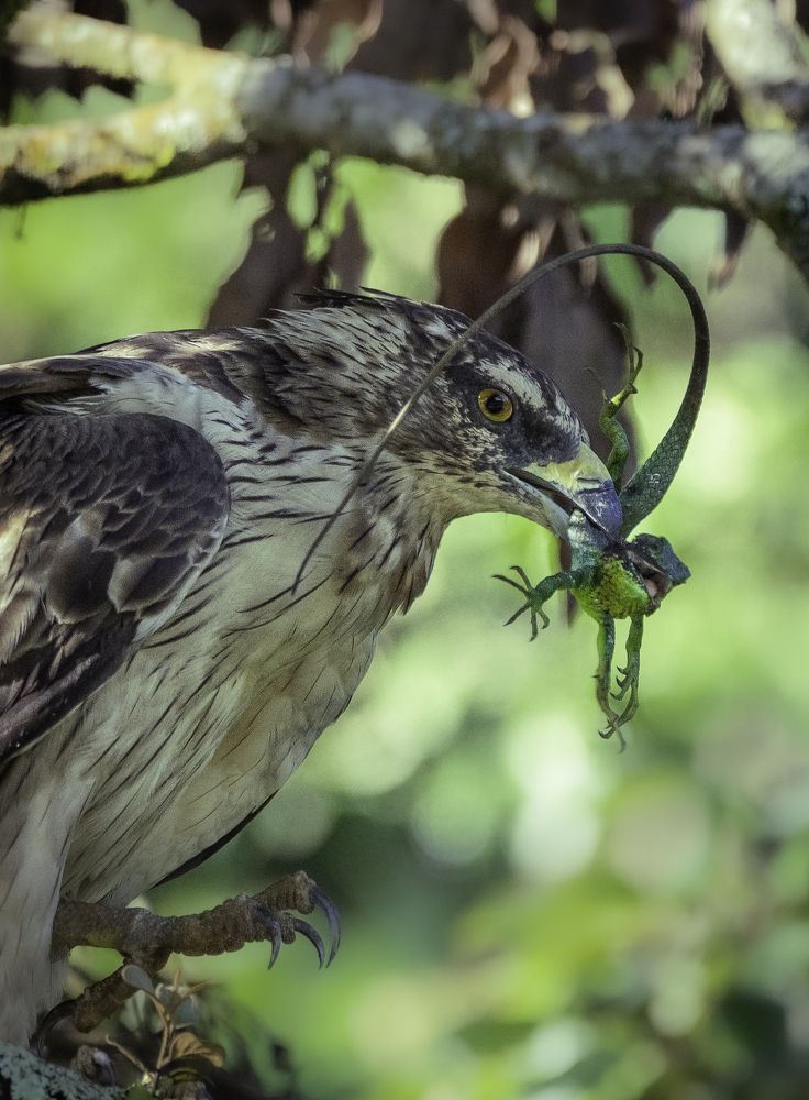 Photograph by Yuganthan Nallusamy