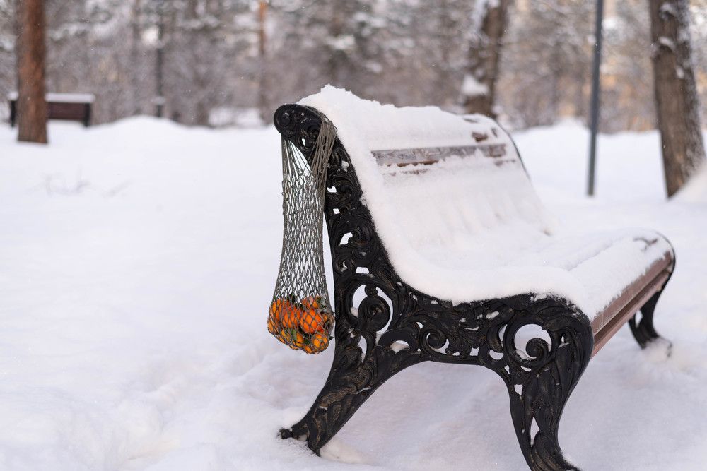 Photograph by Римма