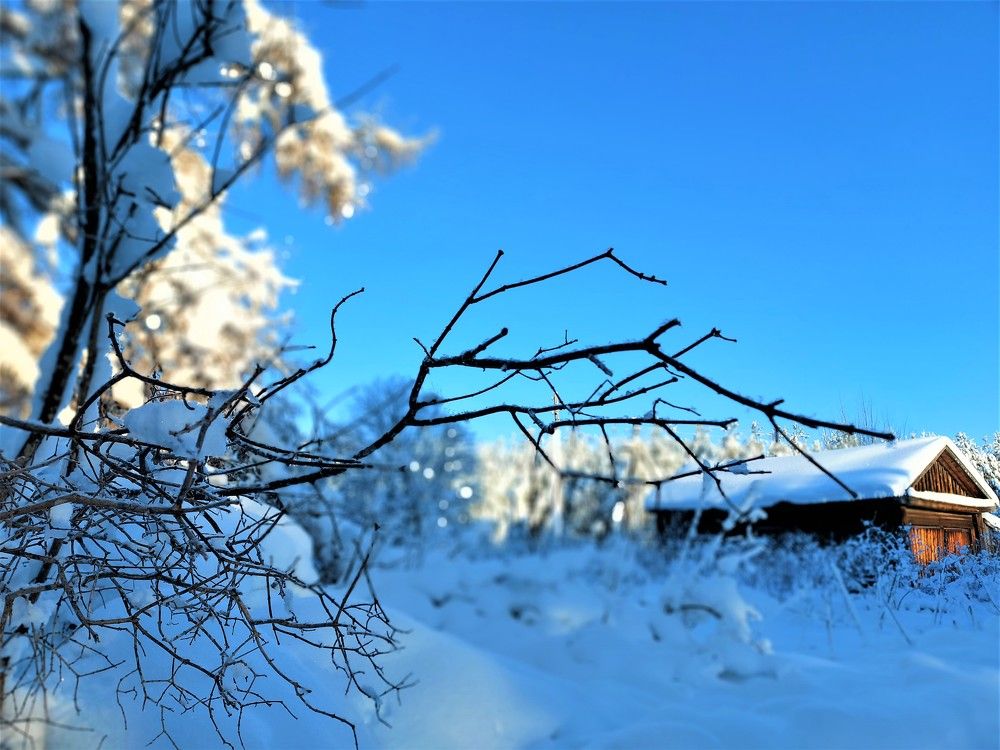 Photograph by Андрей С