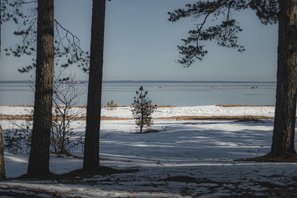 Photograph by Alexandr Bezuglyi