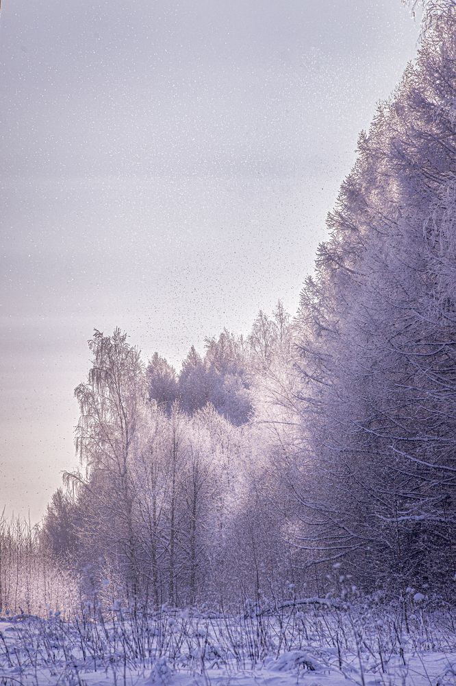 Photograph by Игорь Толкачев