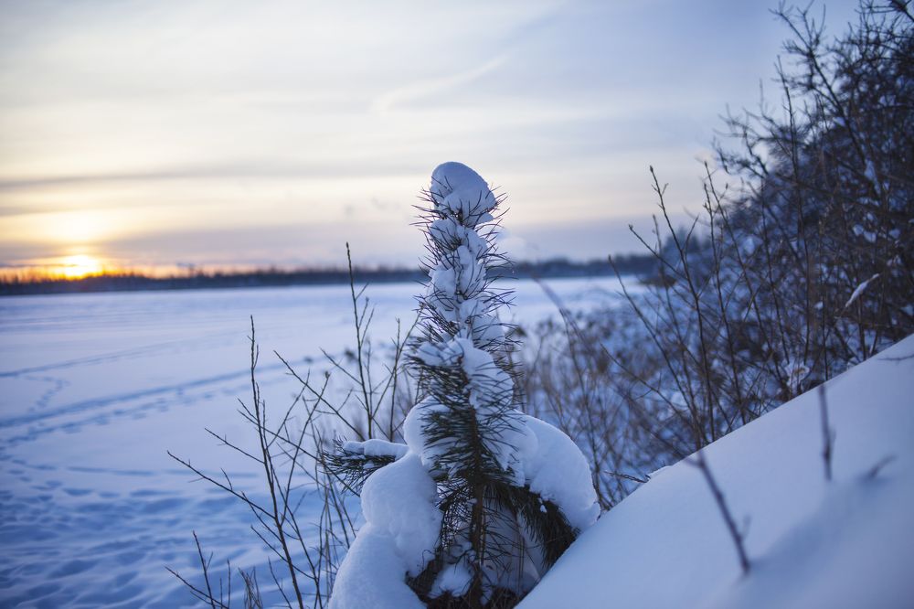 Photograph by Елена Горева