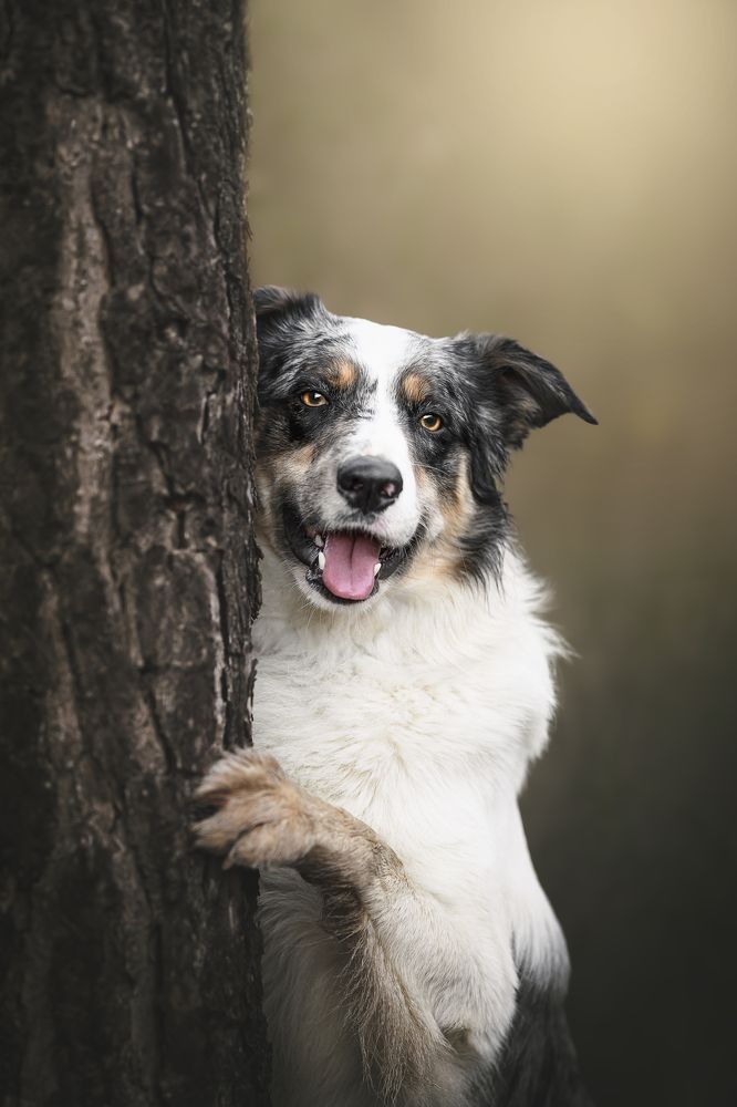 Фотография автора Rut Casanellas