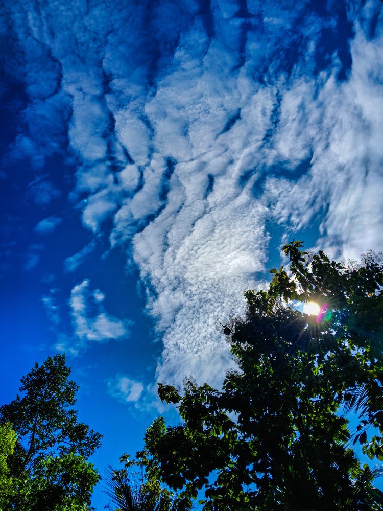 Photo #10133638