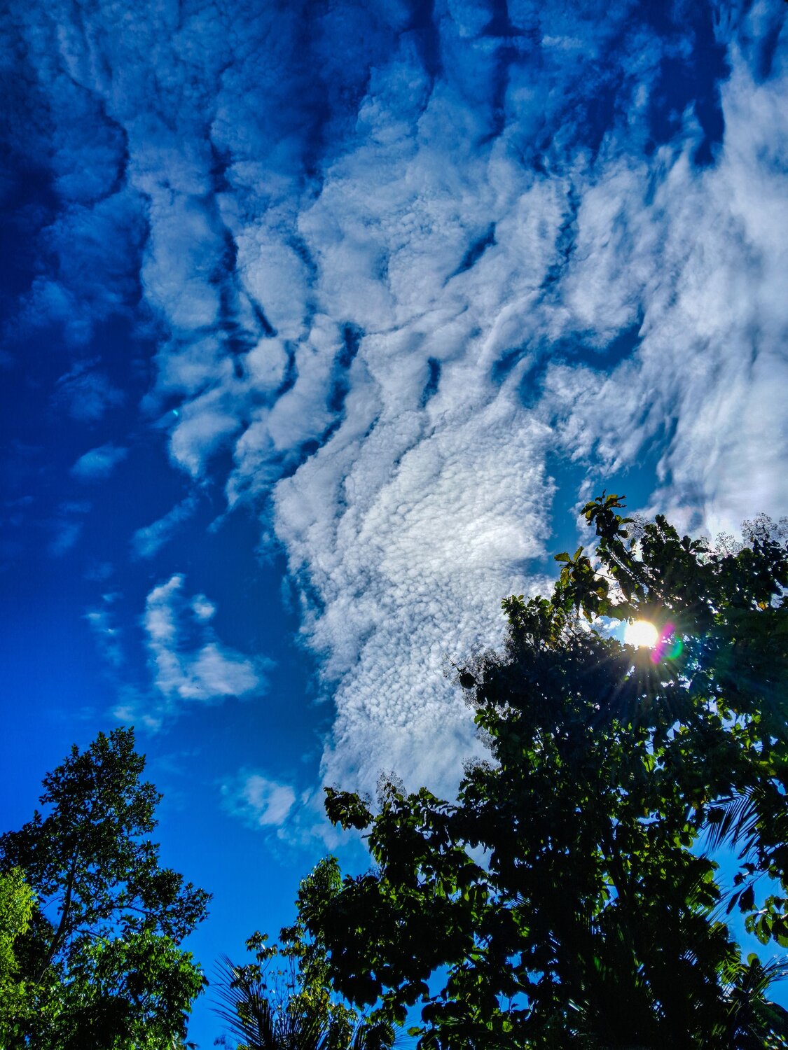 Photo #10133638