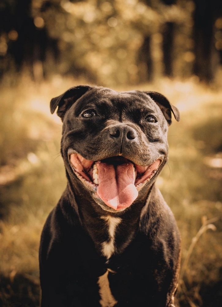 Photograph by Екатерина