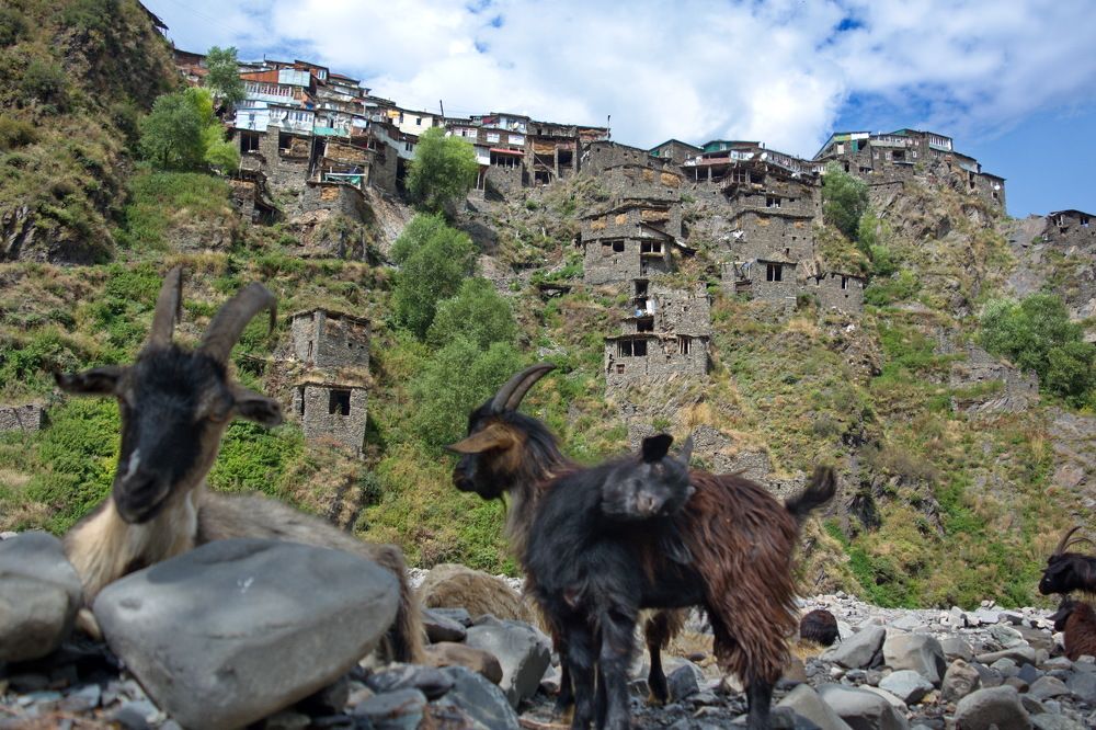 Photograph by Юсиф Саркаров