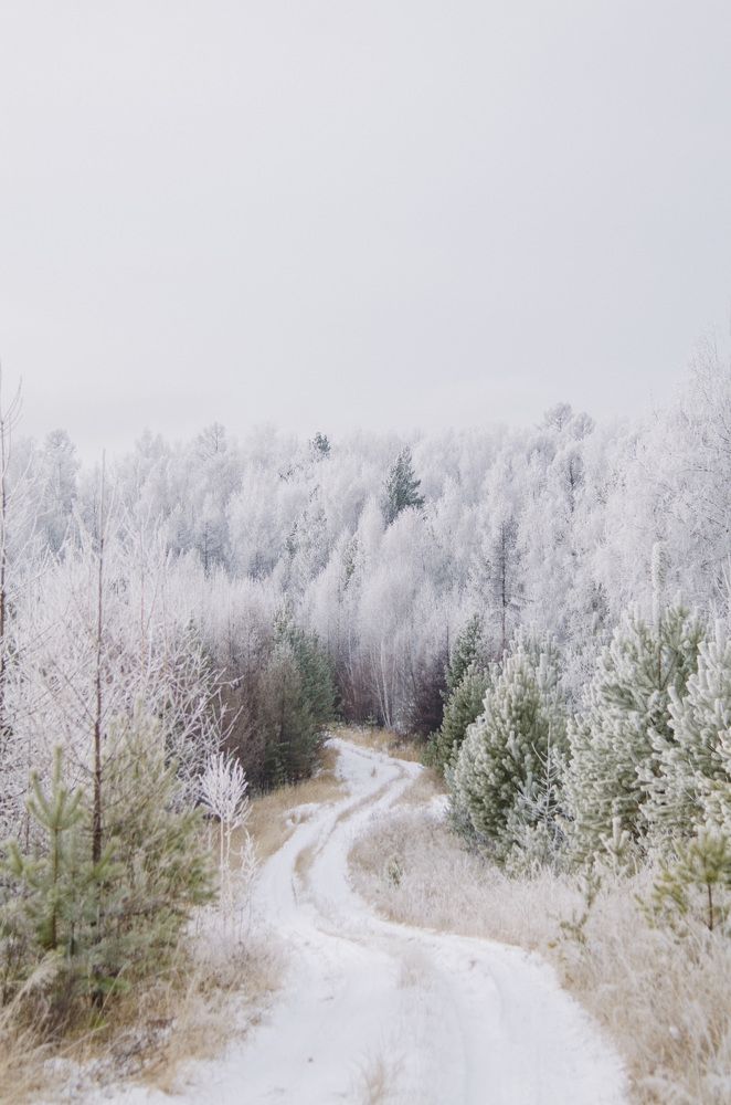 Photograph by Зуев Дмитрий