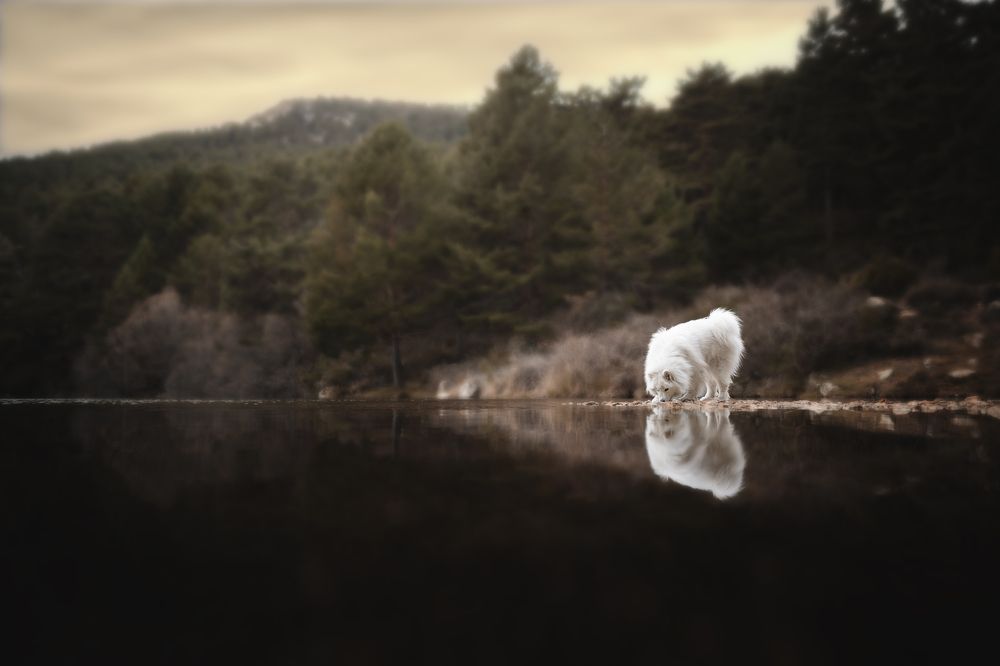 Фотография автора Rut Casanellas