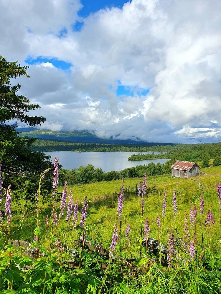 Photograph by Miller Galina