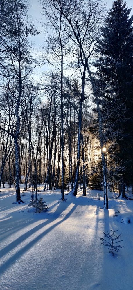 Photo #10133871