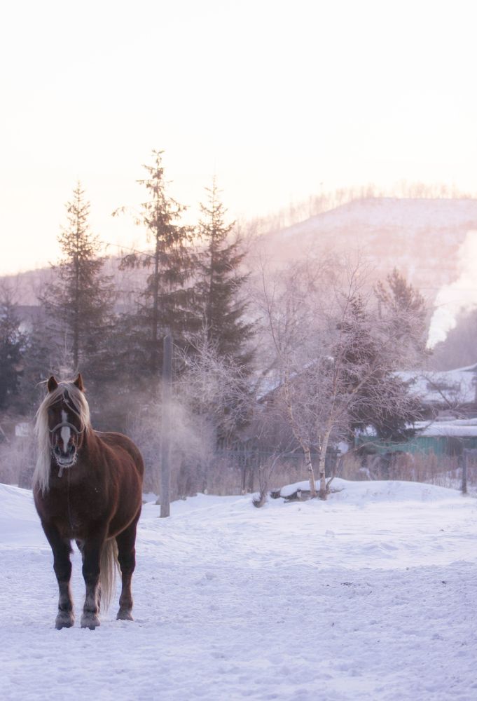 Photograph by Анастасия Кудаева
