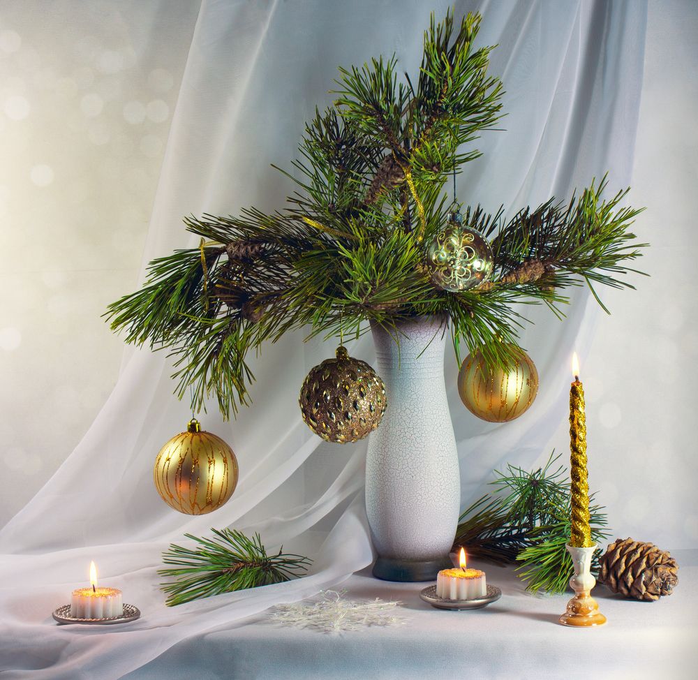 Photograph by Вера Лопатина