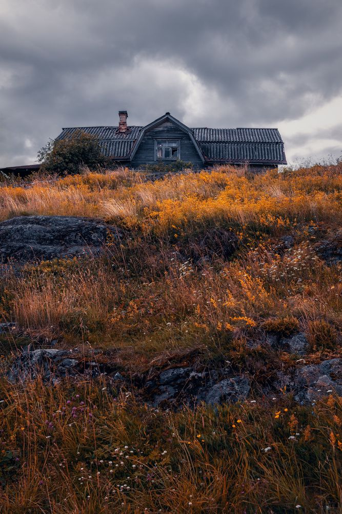 Фотография автора Мазурева Анастасия