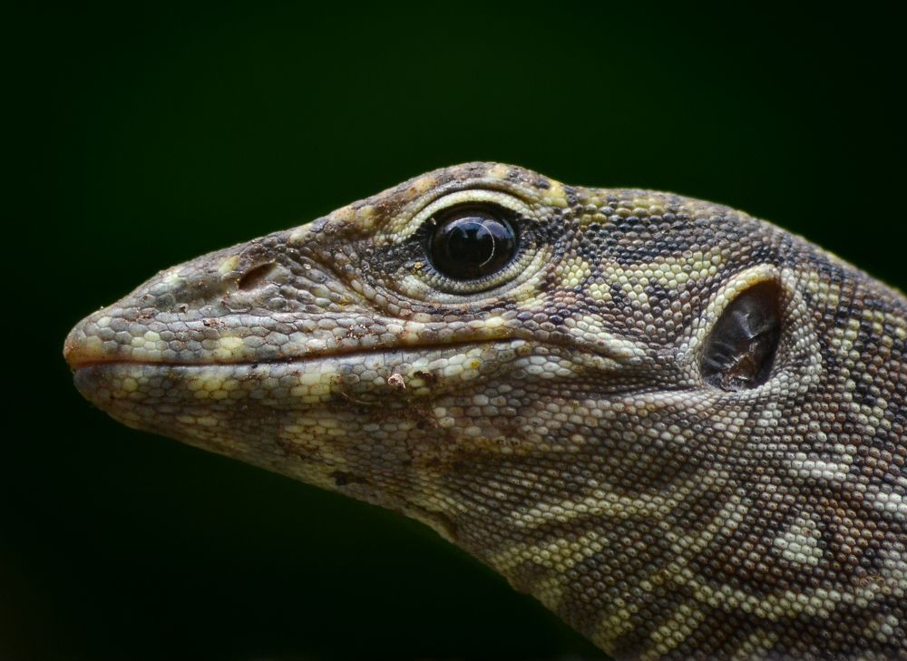 Photograph by Kasun Wickramasinghe