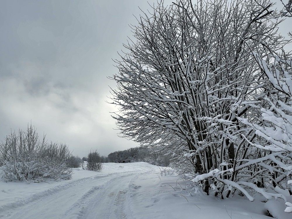 Зима на склонах Чатыр-Дага