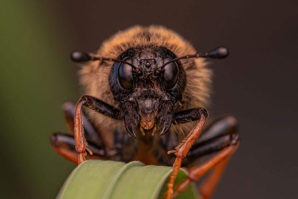 Фотография автора Виталий Сурков
