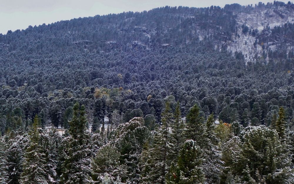 Photograph by Сергей Гребенников