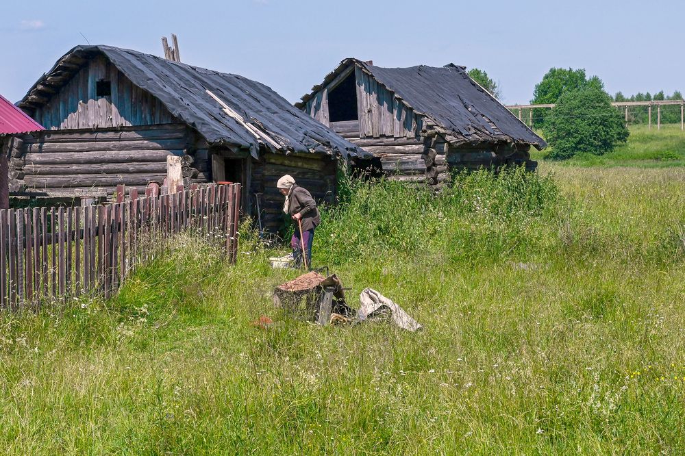 Фотография автора Ольга Лихтарь