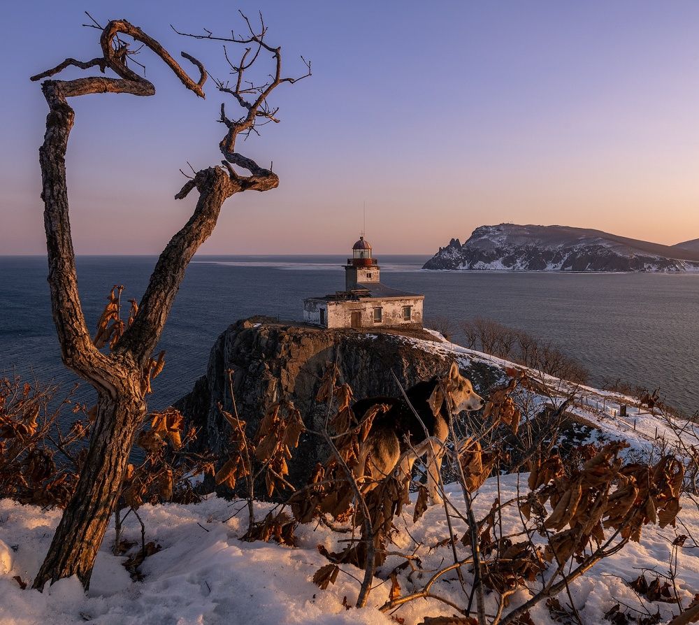 Вглядываясь в закат