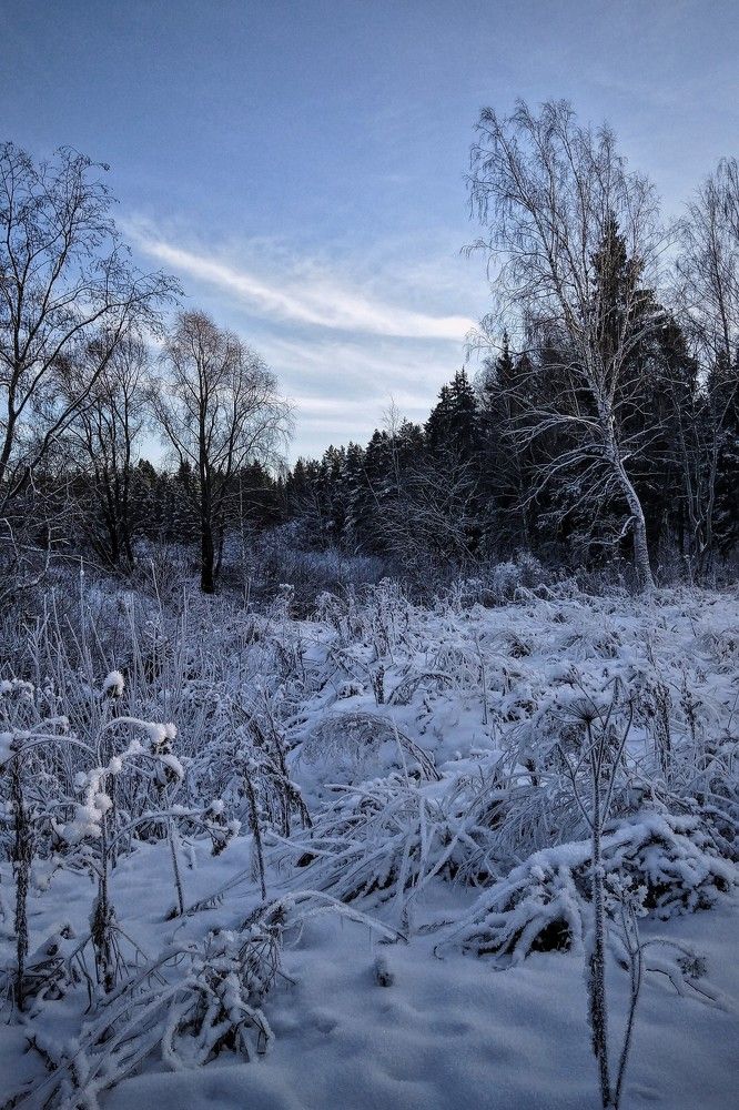 Photograph by Iuliia Akhulkova