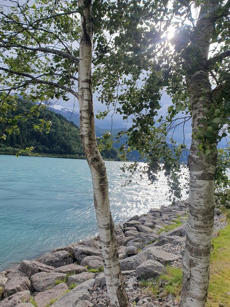 Photograph by Miller Galina