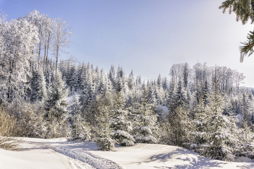 Фотография автора Milena Ivanova