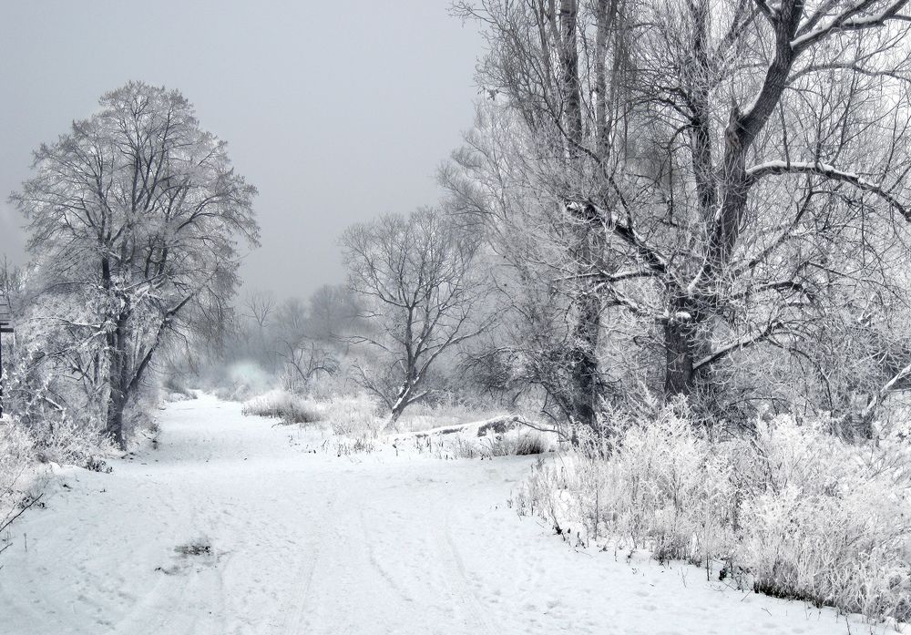 Фотография автора Milena Ivanova