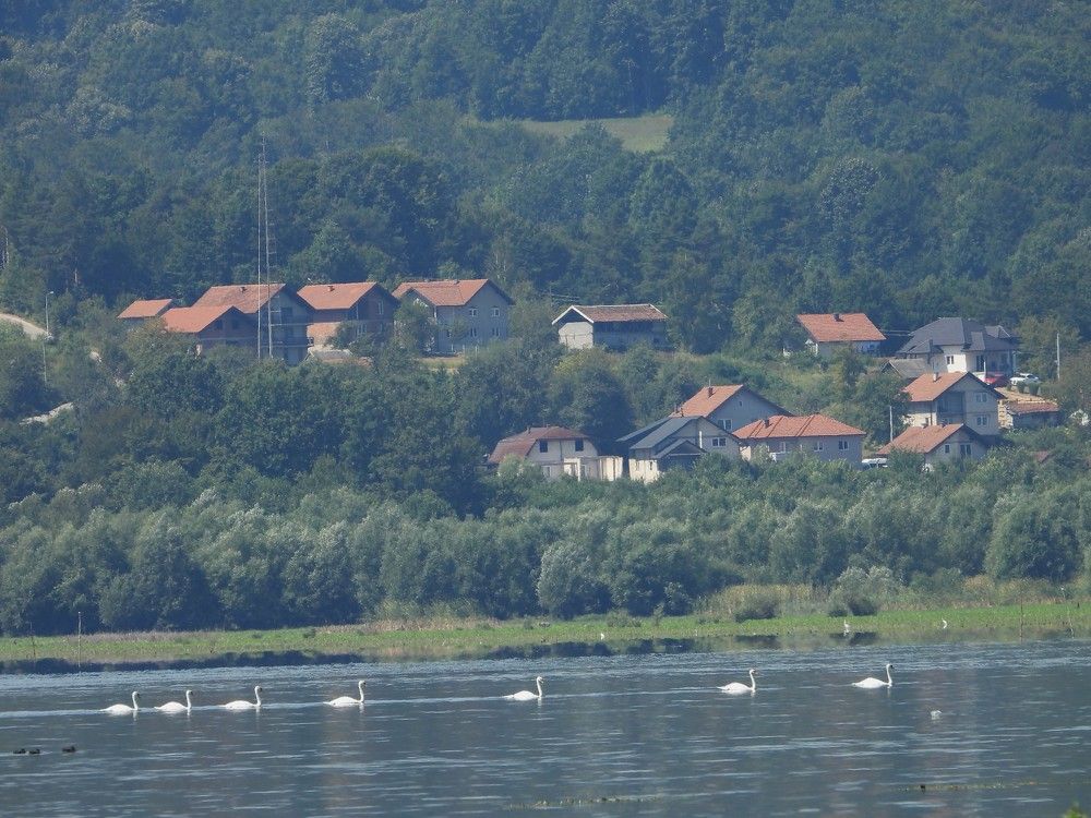 landscape of the village