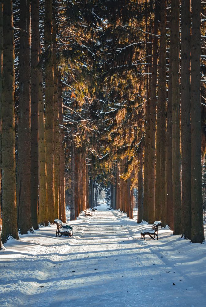 Photograph by Andrei Naliahach