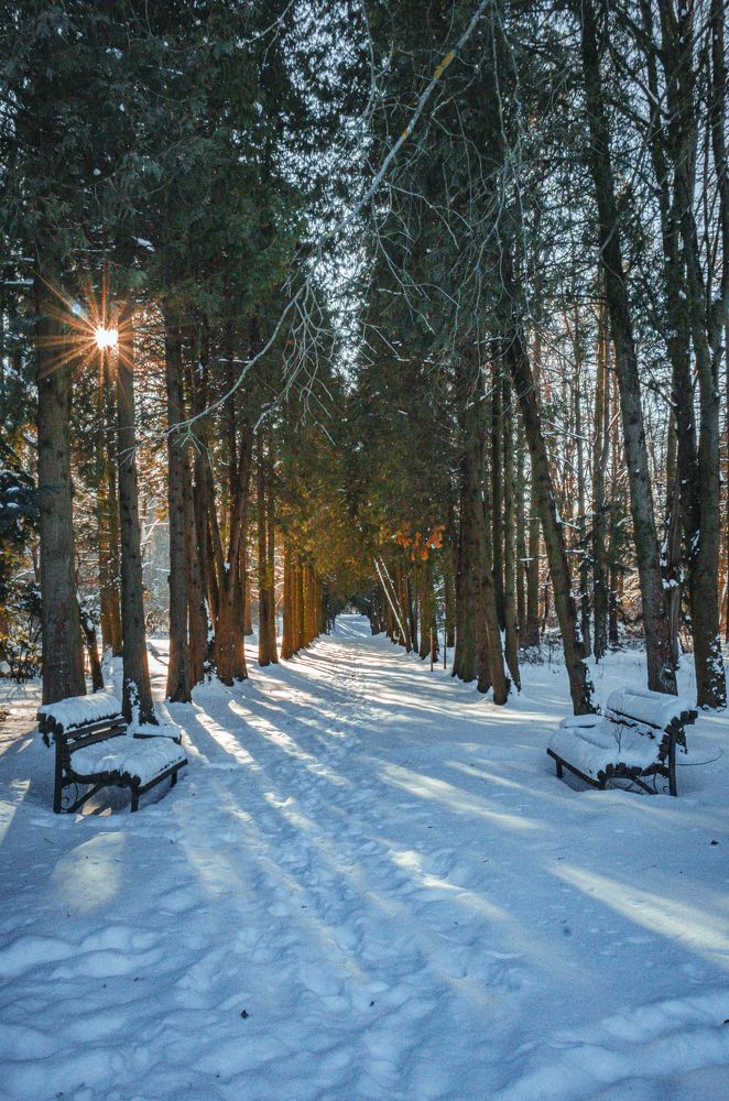 Photograph by Andrei Naliahach