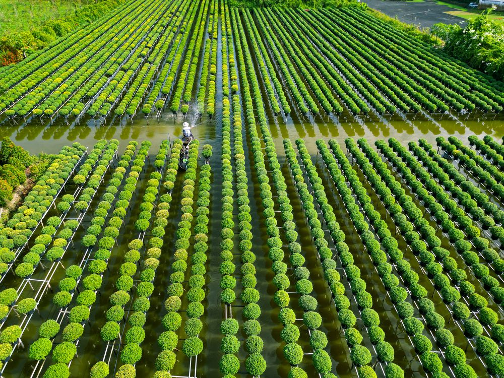 Photograph by Hai Tran